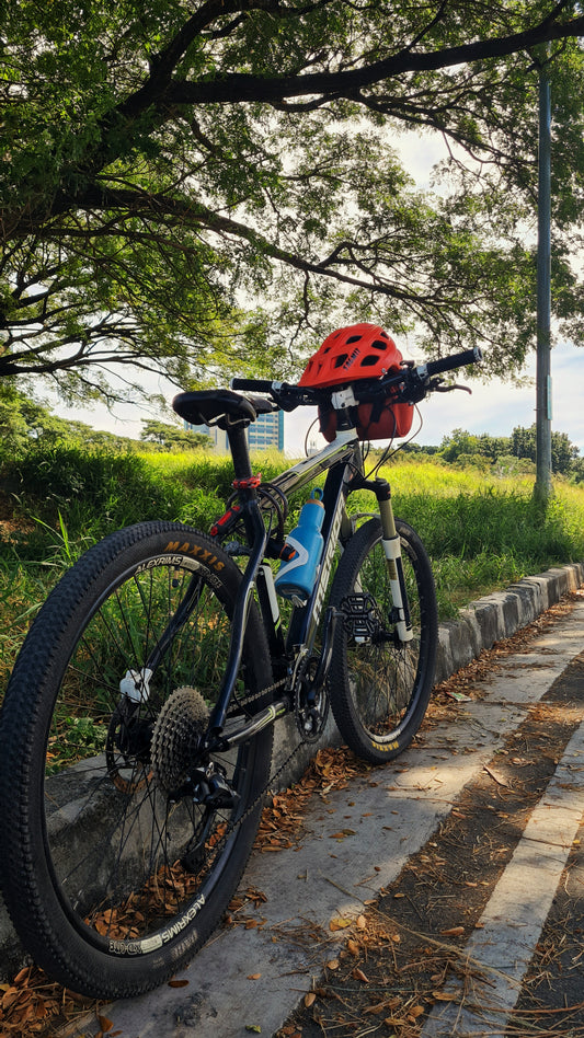 Biking and Happiness