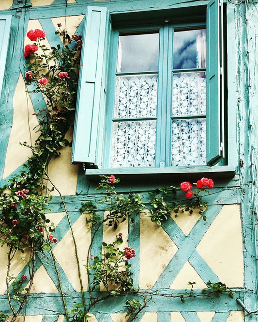 Visiting Paris