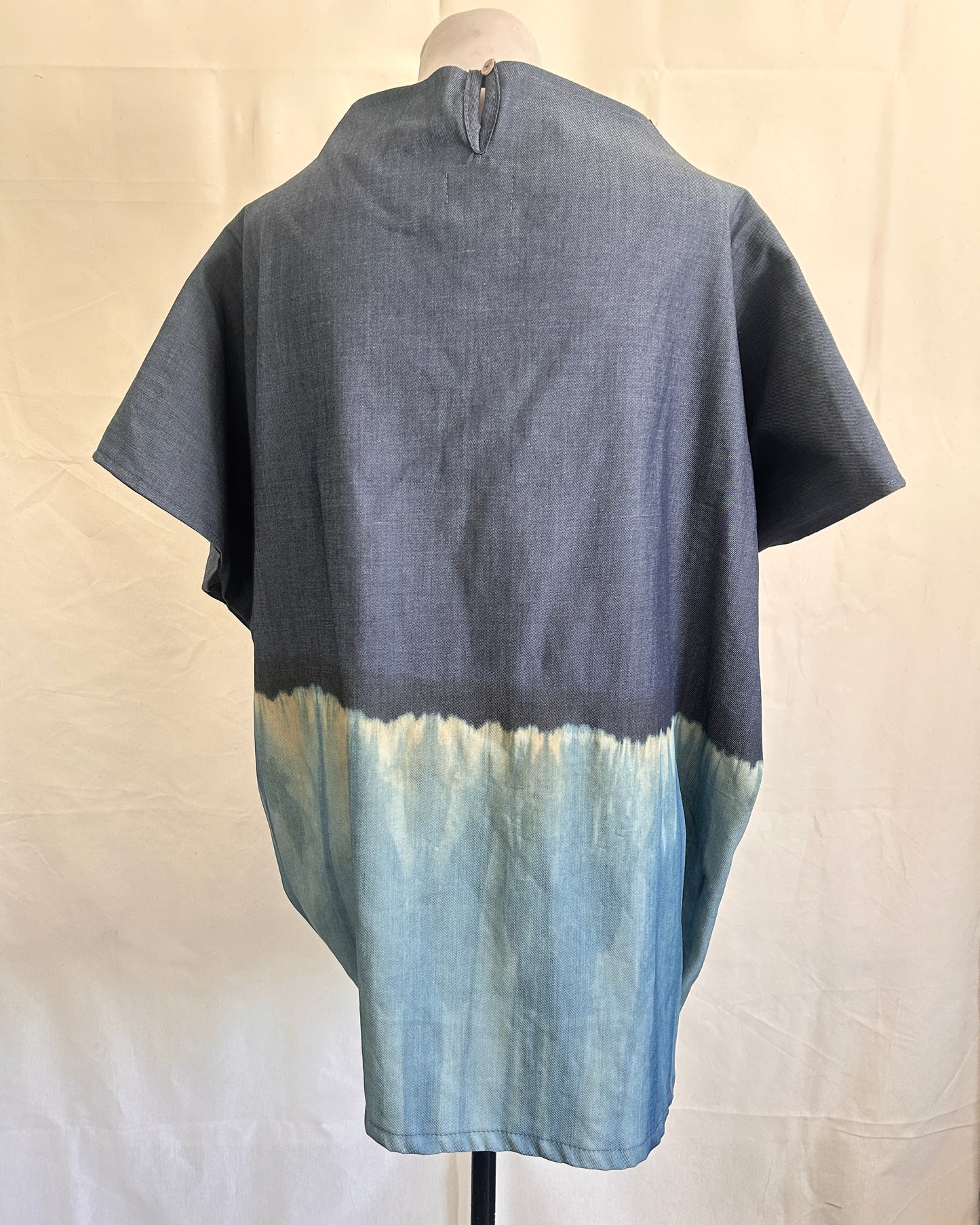 no. 41 carina top